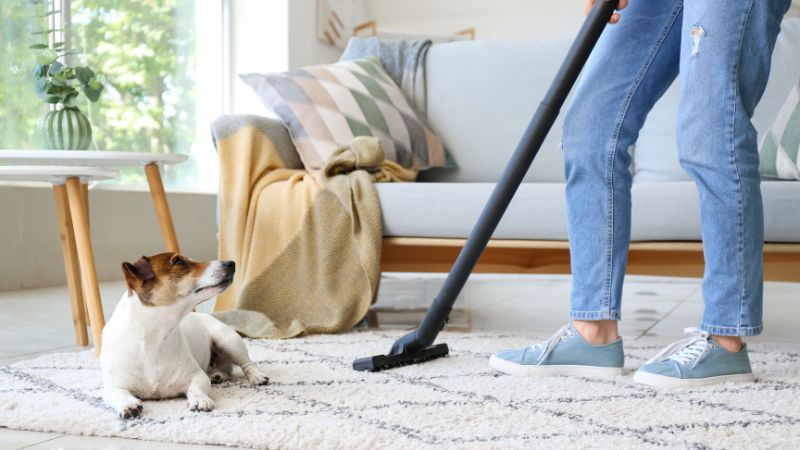 9 Best House Cleaning Routines for Pet Owners